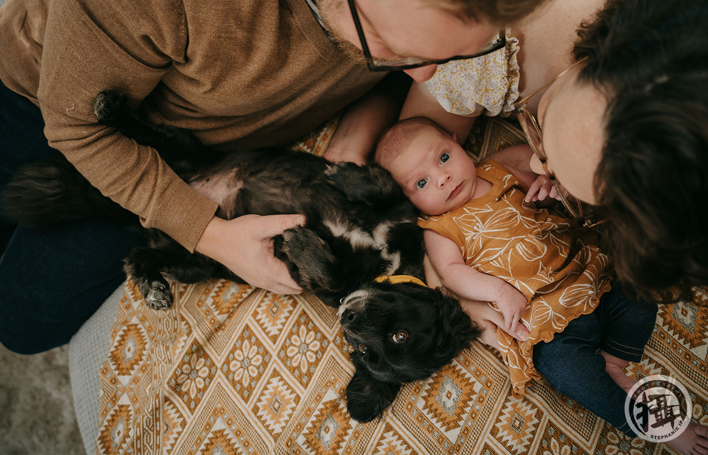 In-home Family Photography in Los Angeles California