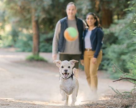 Joyful family photoshoot with their furry companion in Chino Hills, capturing authentic moments in nature with California’s best family photographer.