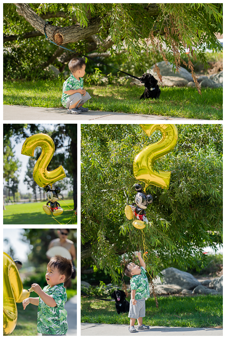 Toddler Second Birthday