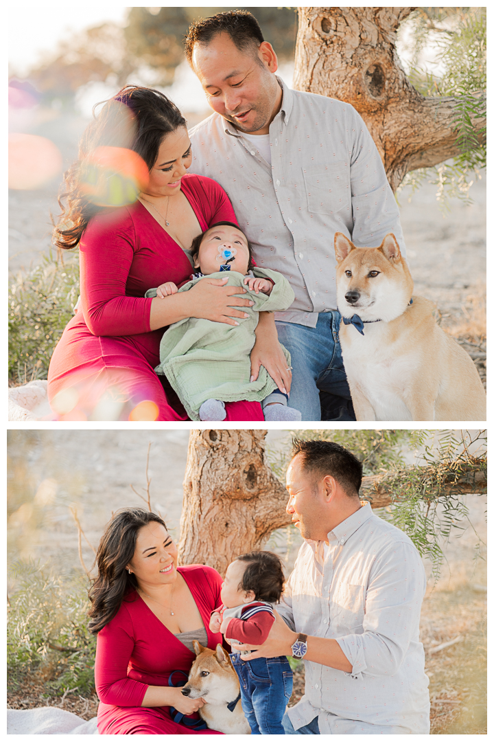 Family session at Point Vicente Interpretive Center and Park