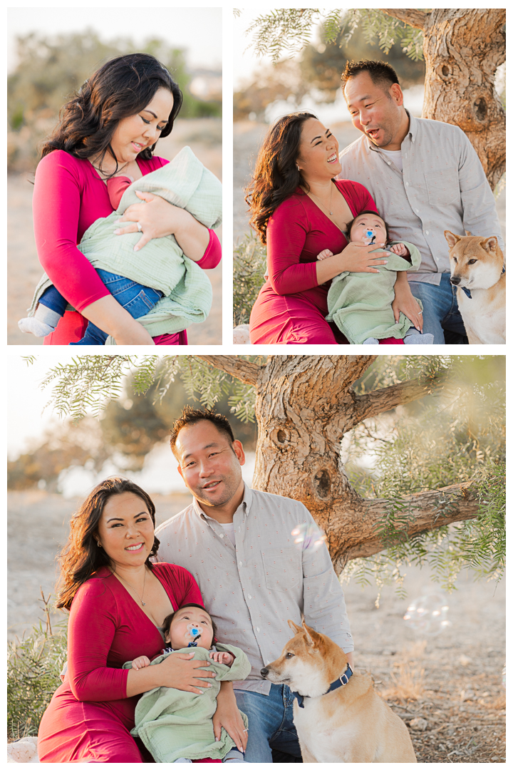 Family session at Point Vicente Interpretive Center and Park