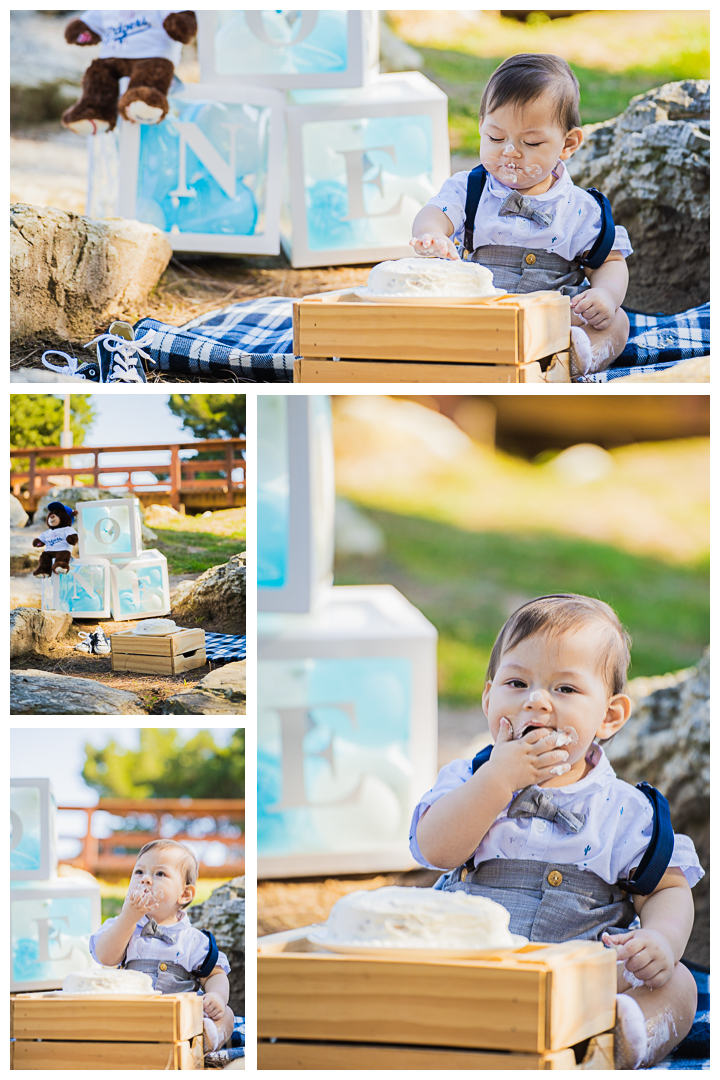 Daniel's 1st Birthday Cake Smash Family Photos Session at Delthorne Park in Torrance, Los Angeles, California