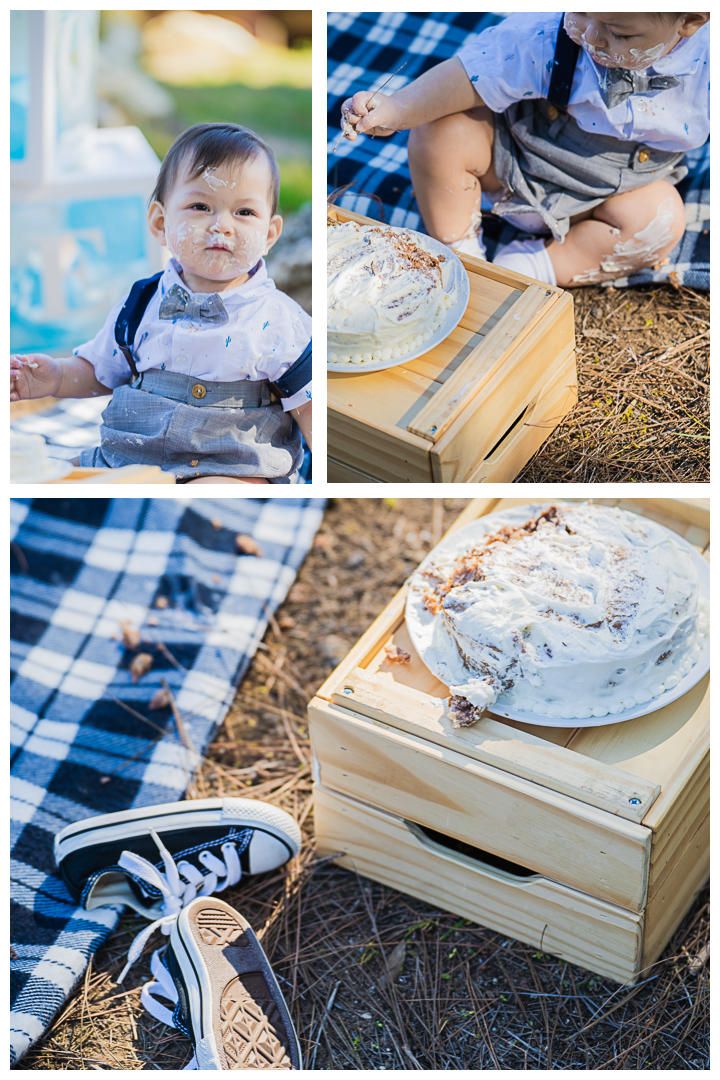 Daniel's 1st Birthday Cake Smash Family Photos Session at Delthorne Park in Torrance, Los Angeles, California