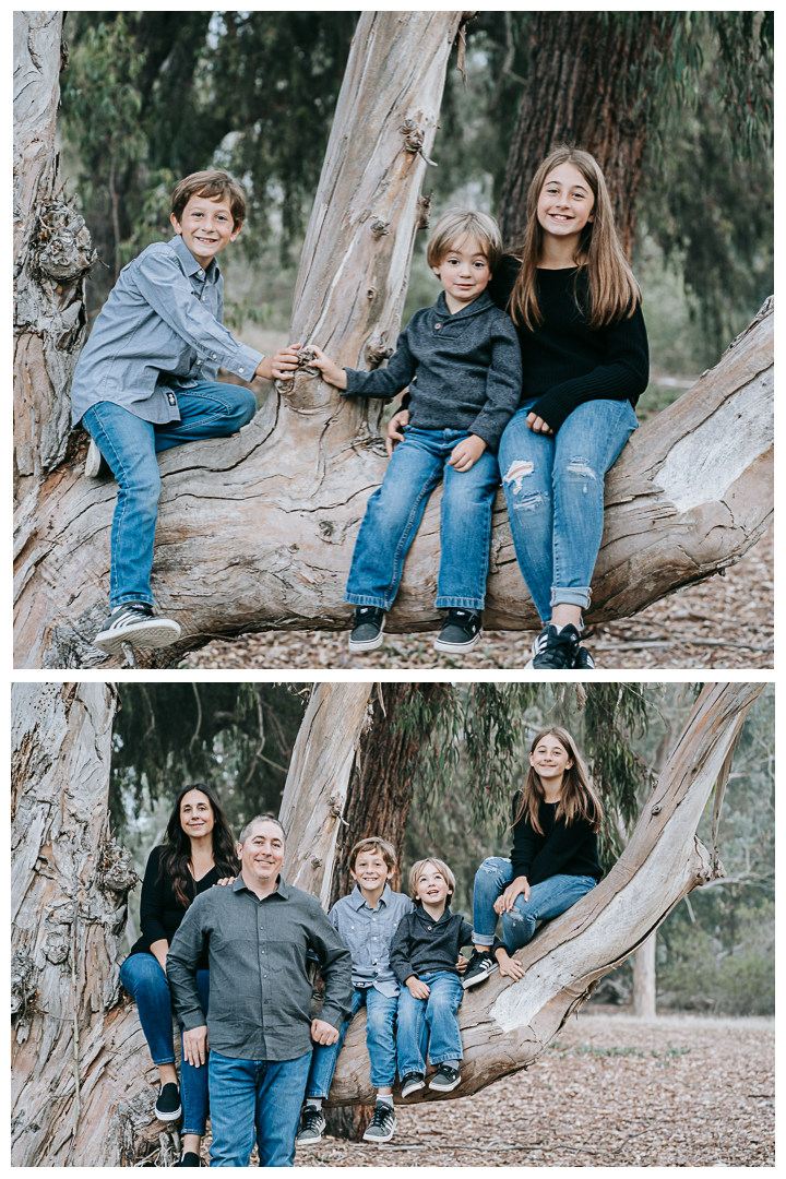 2021 Holiday Mini Sessions in Palos Verdes, Hermosa Beach, Manhattan Beach, Pasadena, California.