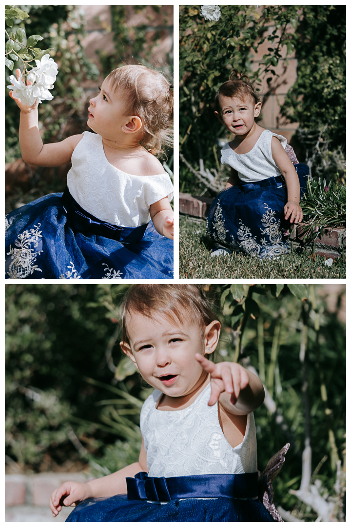 Home studio newborn and toddler session. Torrance, California