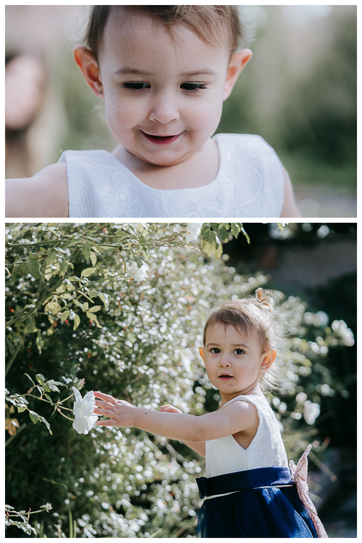 Home studio newborn and toddler session. Torrance, California