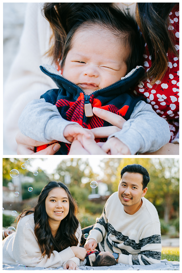 Outdoor family session with newborn in Malaga Cove, Palos Verdes, Los Angeles, California