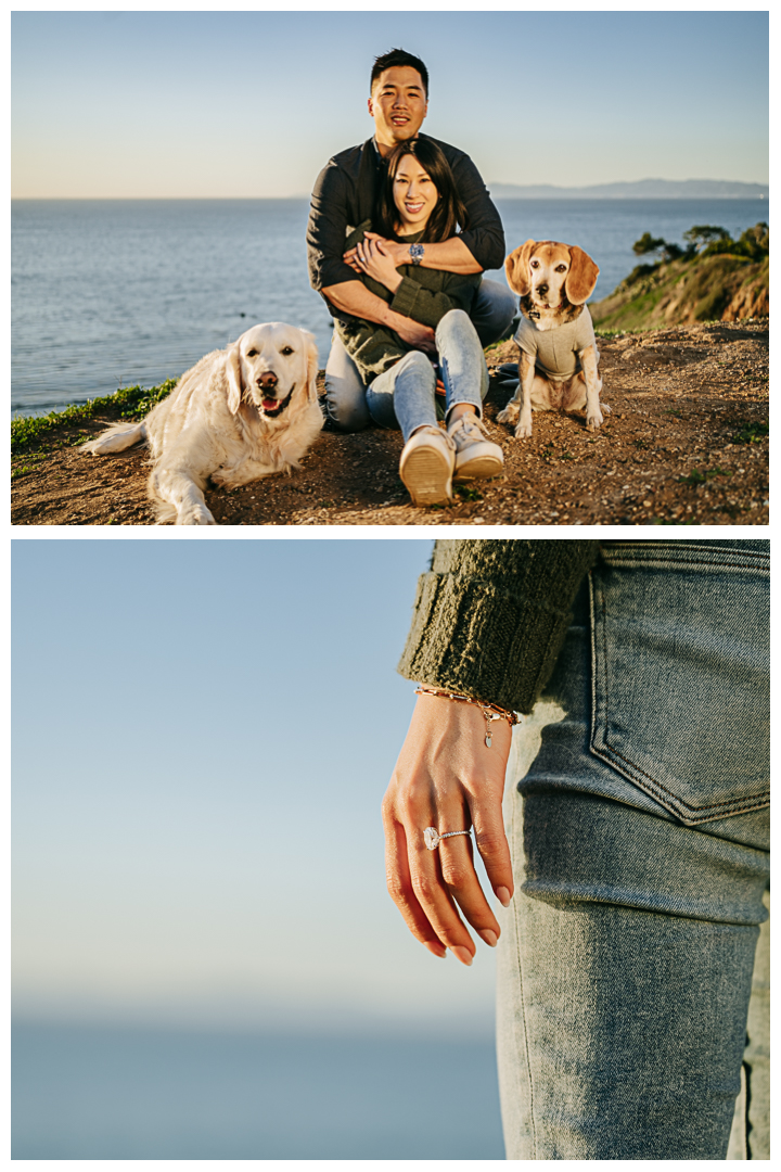 Surprise Proposal and Mini Engagement Photography at PV Secret Cove Lookout  in Palos Verdes Estates, Los Angeles, California