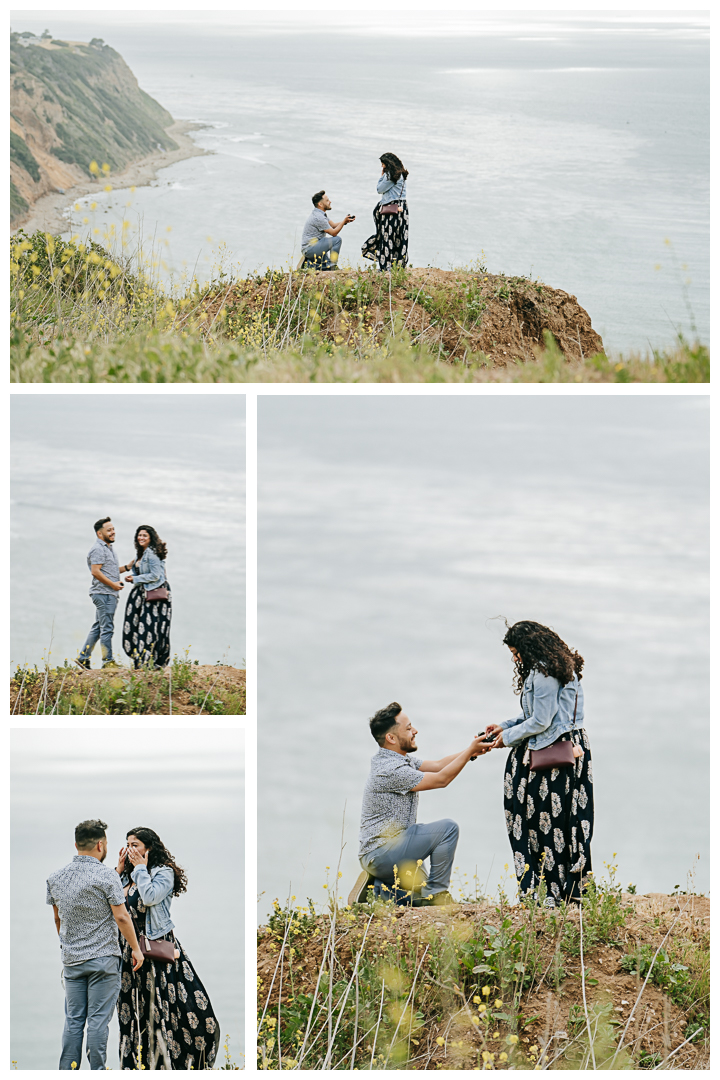 Surprise Proposal Photographer in Palos Verdes, Los Angeles, California