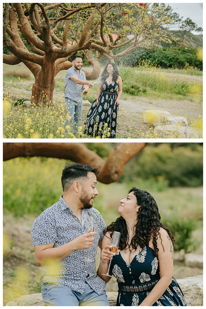 Surprise Proposal Photographer in Palos Verdes, Los Angeles, California