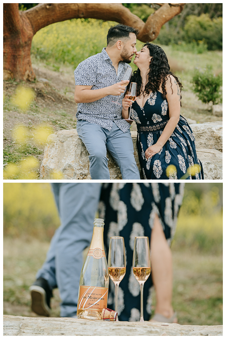 Surprise Proposal Photographer in Palos Verdes, Los Angeles, California