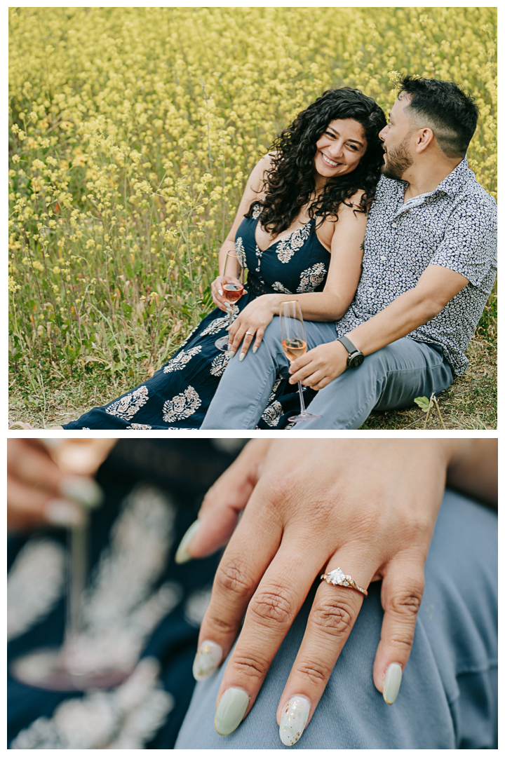 Surprise Proposal Photographer in Palos Verdes, Los Angeles, California