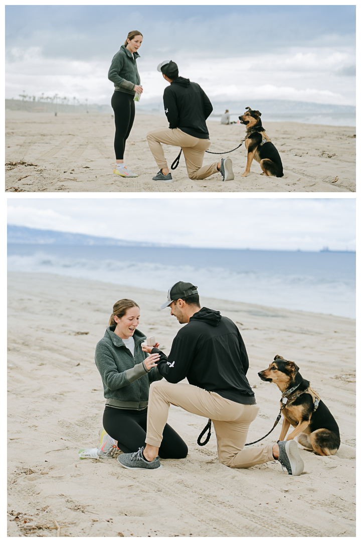 Surprise Proposal at Playa Del Rey in Los Angeles, California