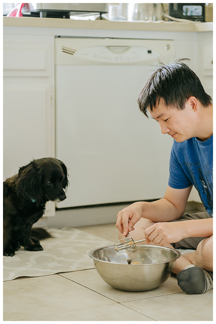 Dog Birthday Celebration Photography at home in Los Angeles, California