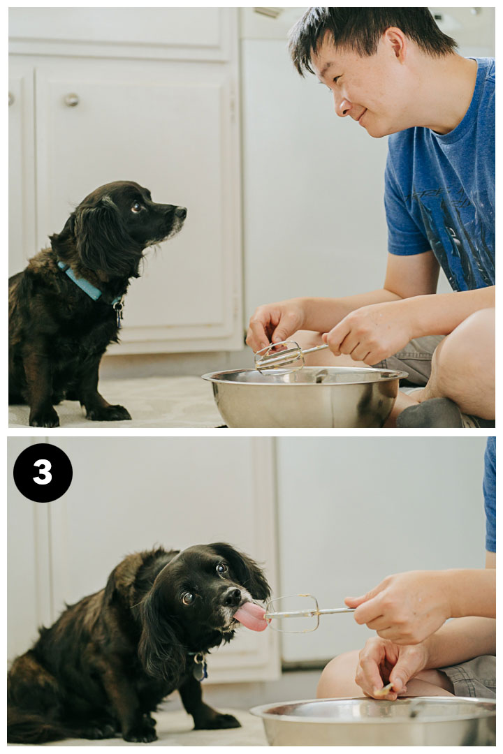 Dog Birthday Celebration Photography at home in Los Angeles, California