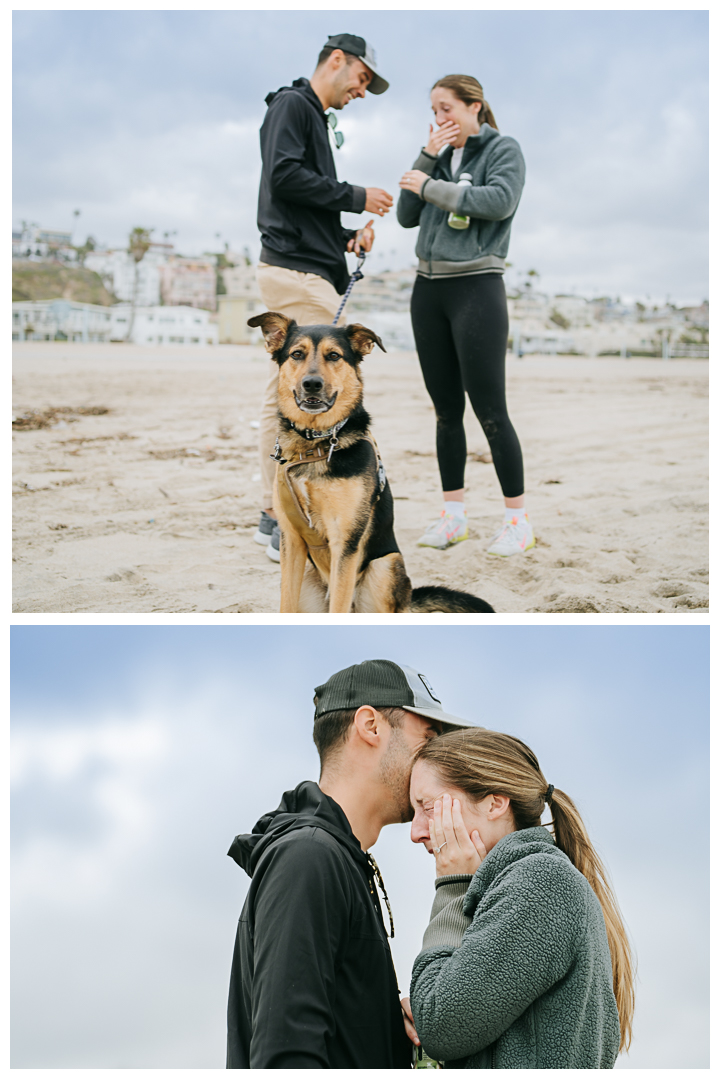 Surprise Proposal at Playa Del Rey in Los Angeles, California