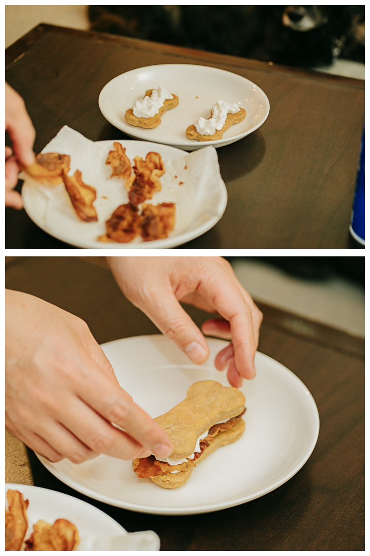 Dog Birthday Celebration Photography at home in Los Angeles, California