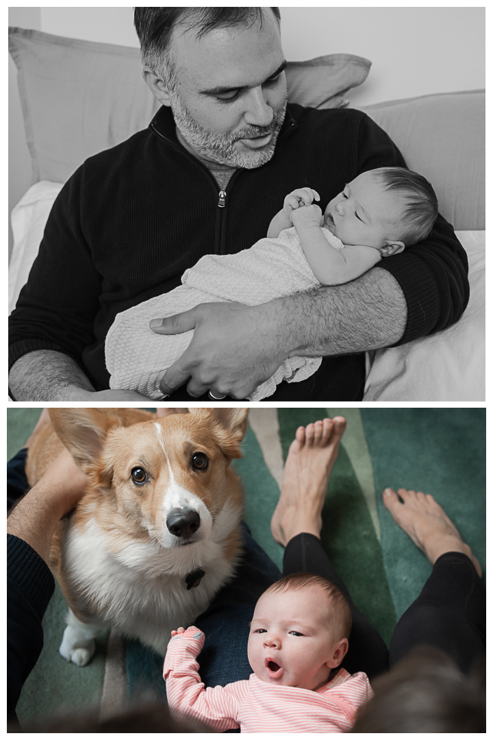 In-home Family and Newborn Session in Culver City, Los Angeles, California