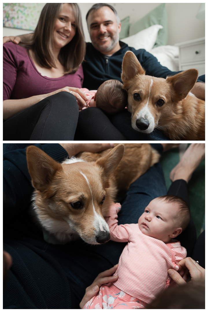 In-home Family and Newborn Session in Culver City, Los Angeles, California