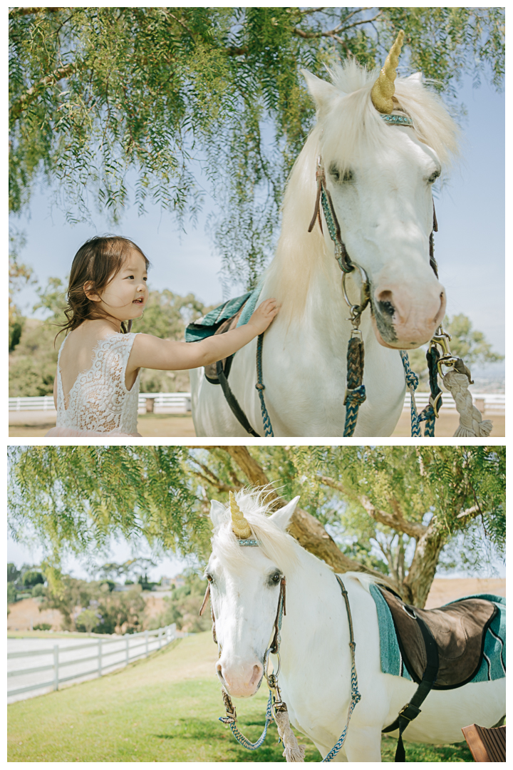 Unicorn Birthday Party Photography in Palos Verdes, Los Angeles, California