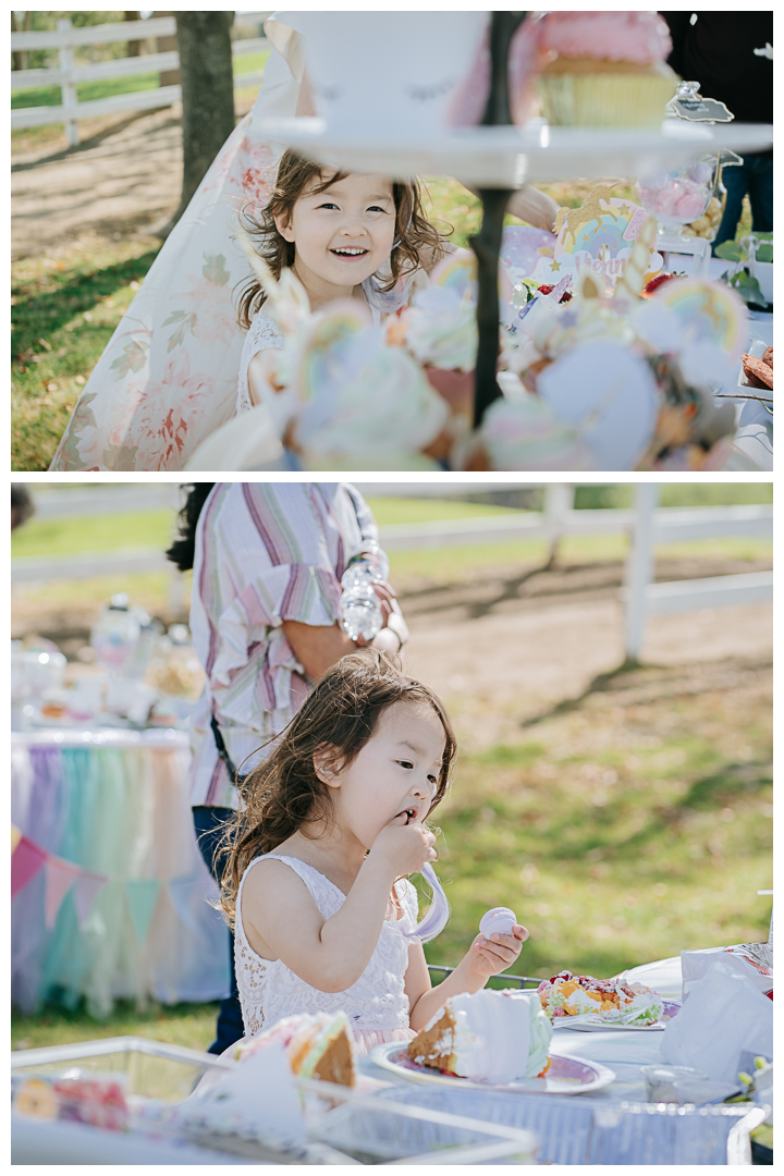 Unicorn Birthday Party Photography in Palos Verdes, Los Angeles, California