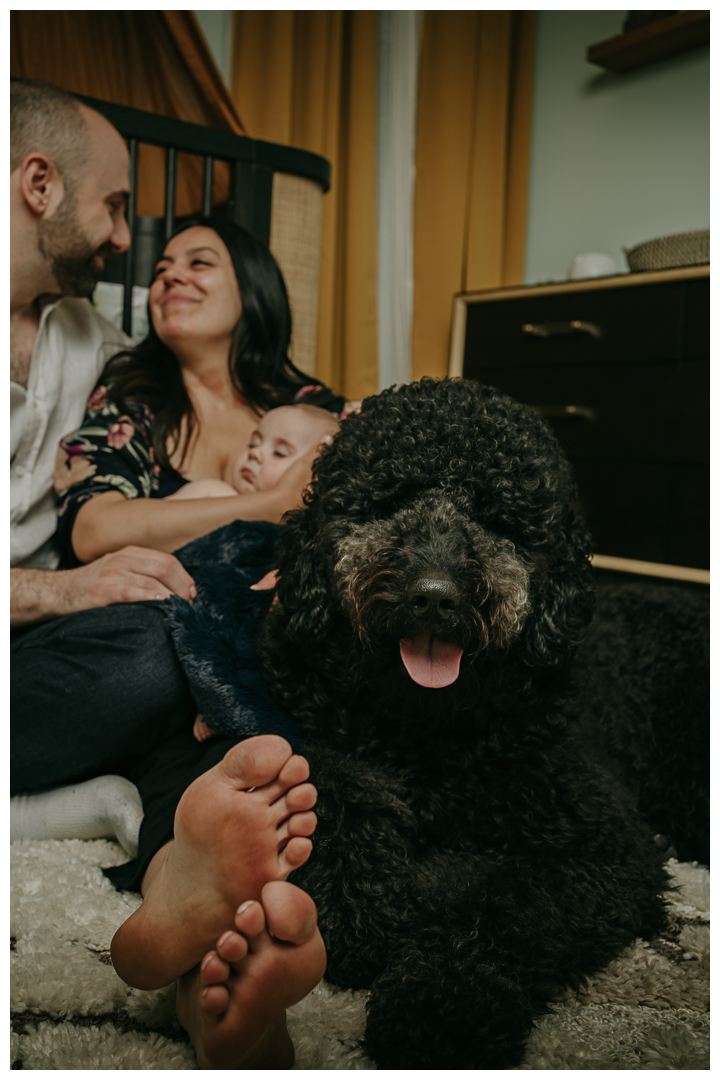 In-home newborn family session photography in Sherman Oaks, Los Angeles, California