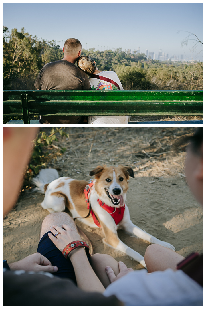 Surprise Proposal and Mini Engagement at Elysian Park, Los Angeles, California