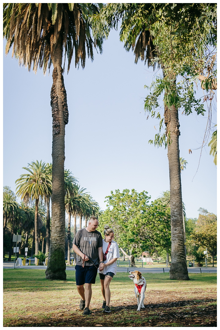 Surprise Proposal and Mini Engagement at Elysian Park, Los Angeles, California