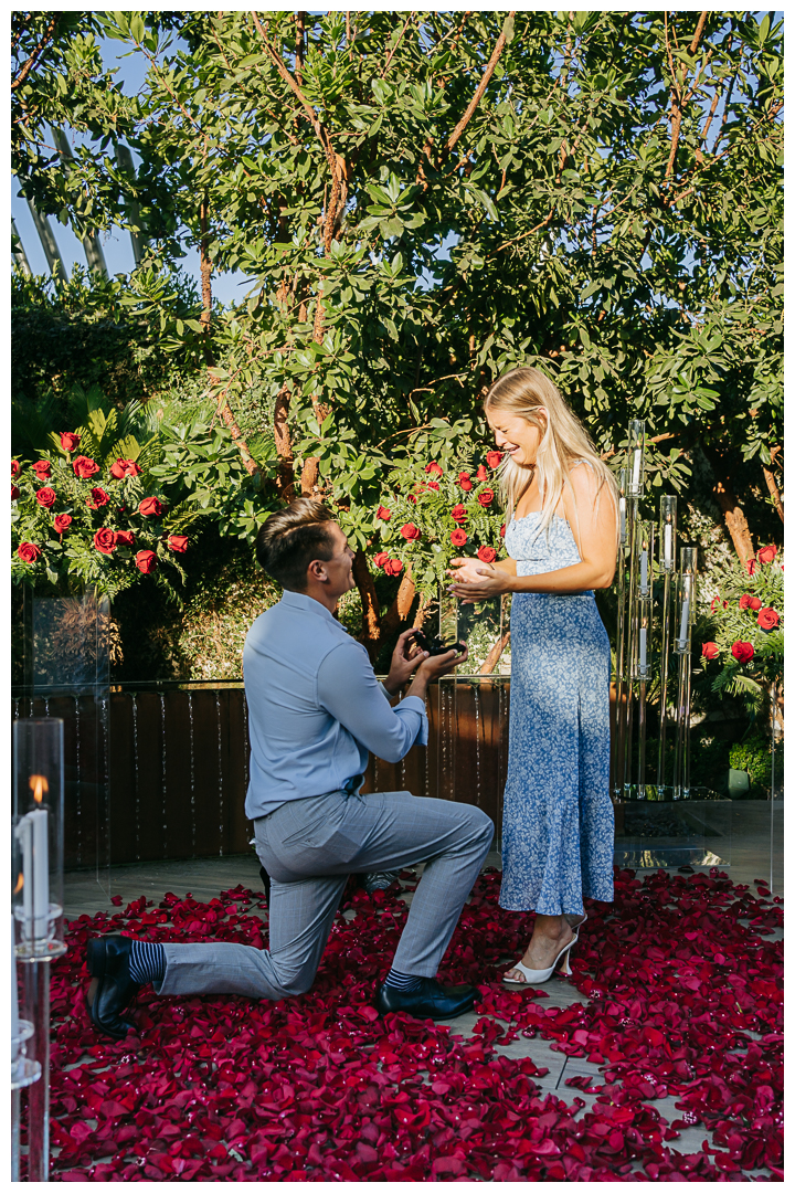 Surprise Proposal and Mini Engagement at Waldorf Astoria Beverly Hills, Los Angeles, California