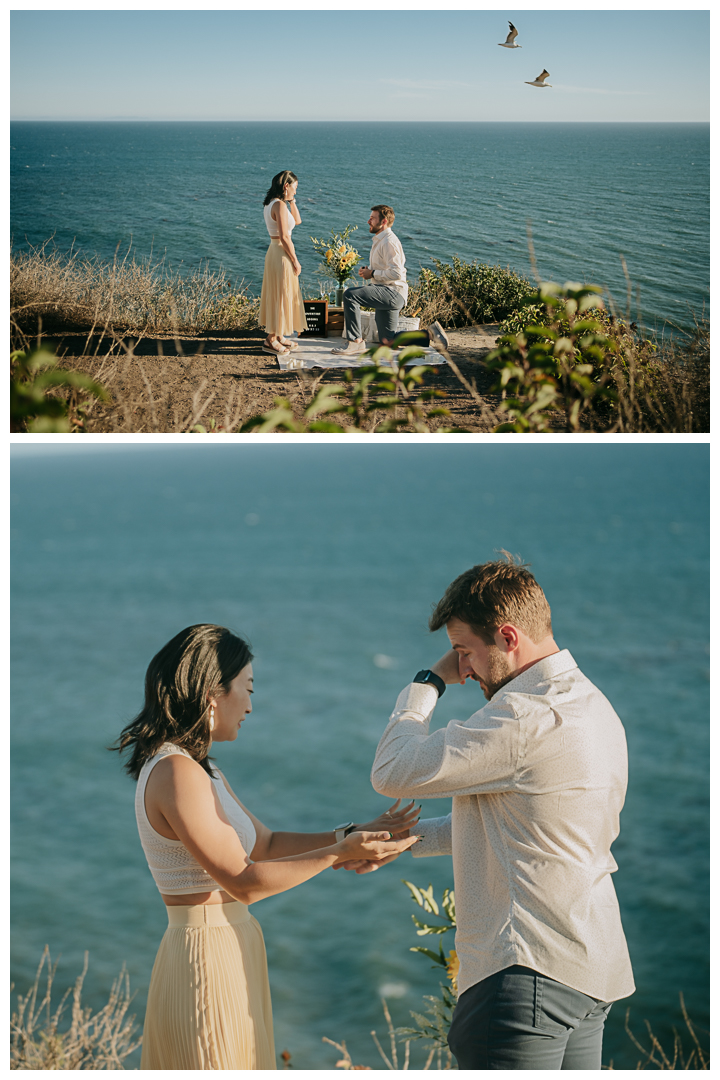 Surprise Proposal at El Matador in Malibu, California