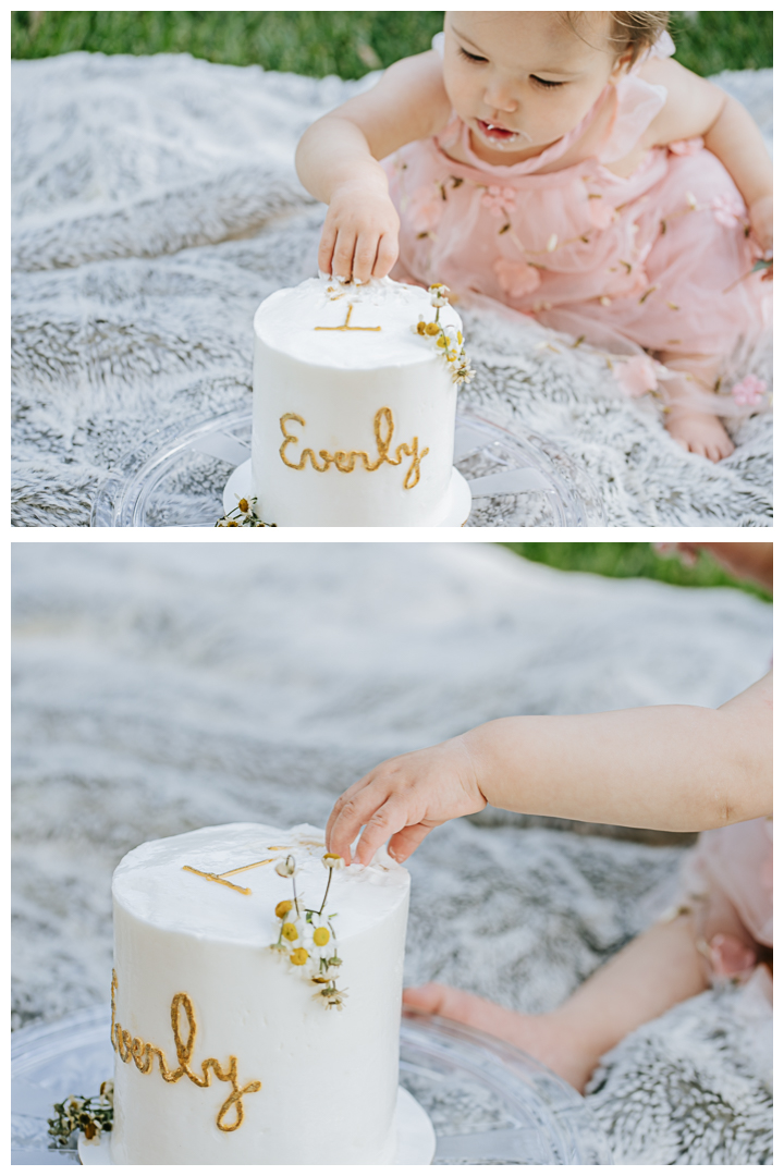 First Birthday Zhua Zhou and Cake Smash at home party in Huntington Beach, Orange, California