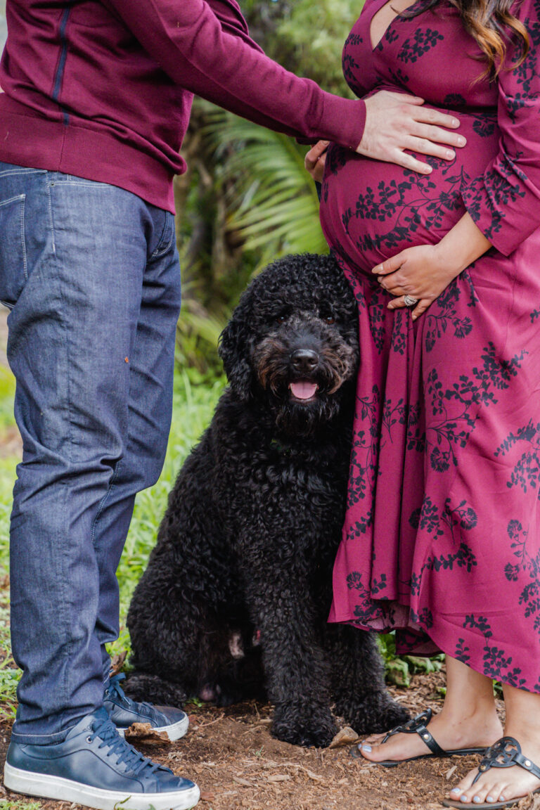 Maternity session with dog at Valley Park and Veterans Parkway in Hermosa Beach Cove, Los Angeles, California.