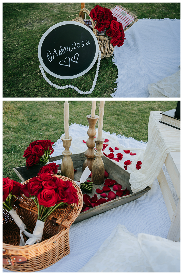 Surprised Proposal at Adamson House Museum, Malibu, Los Angeles, California