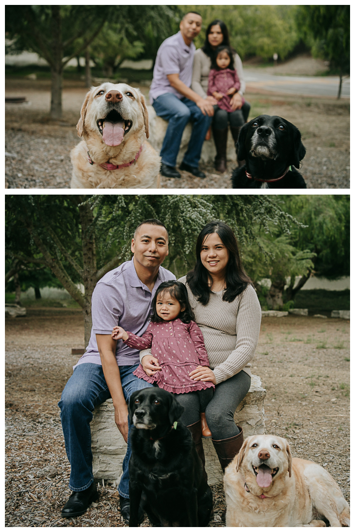 Family Photos at Montemalaga in Palos Verdes, Los Angeles, California