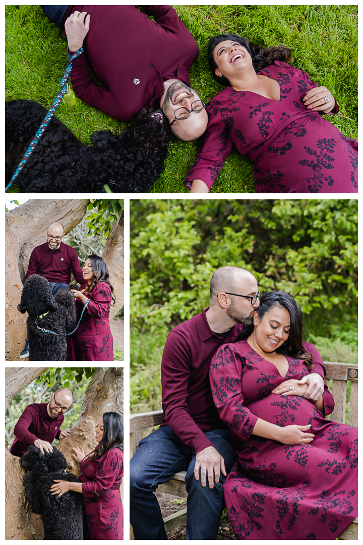 Maternity session with dog at Valley Park and Veterans Parkway in Hermosa Beach Cove, Los Angeles, California.