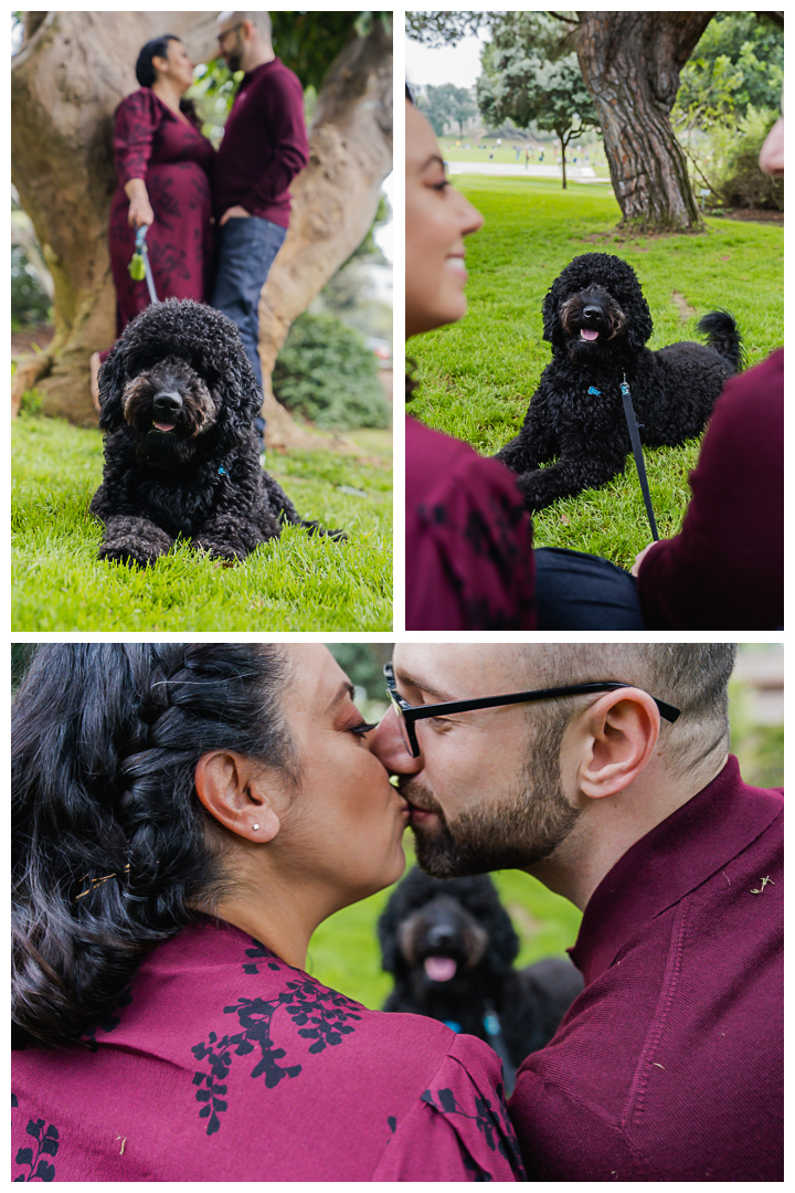 Maternity session with dog at Valley Park and Veterans Parkway in Hermosa Beach Cove, Los Angeles, California.