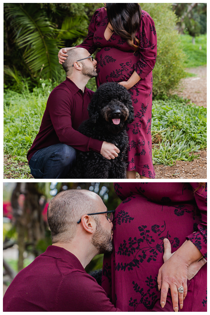 Maternity session with dog at Valley Park and Veterans Parkway in Hermosa Beach Cove, Los Angeles, California.