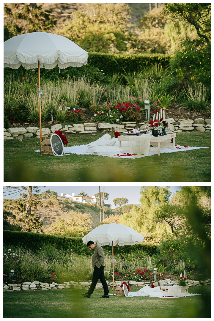 Surprised Proposal at Adamson House Museum, Malibu, Los Angeles, California