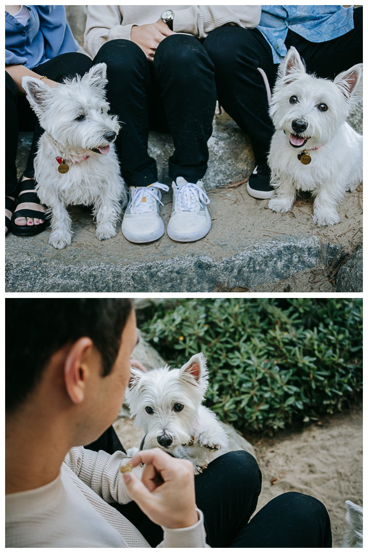 Family Photos at Pine Wind Garden in Torrance, Los Angeles, California