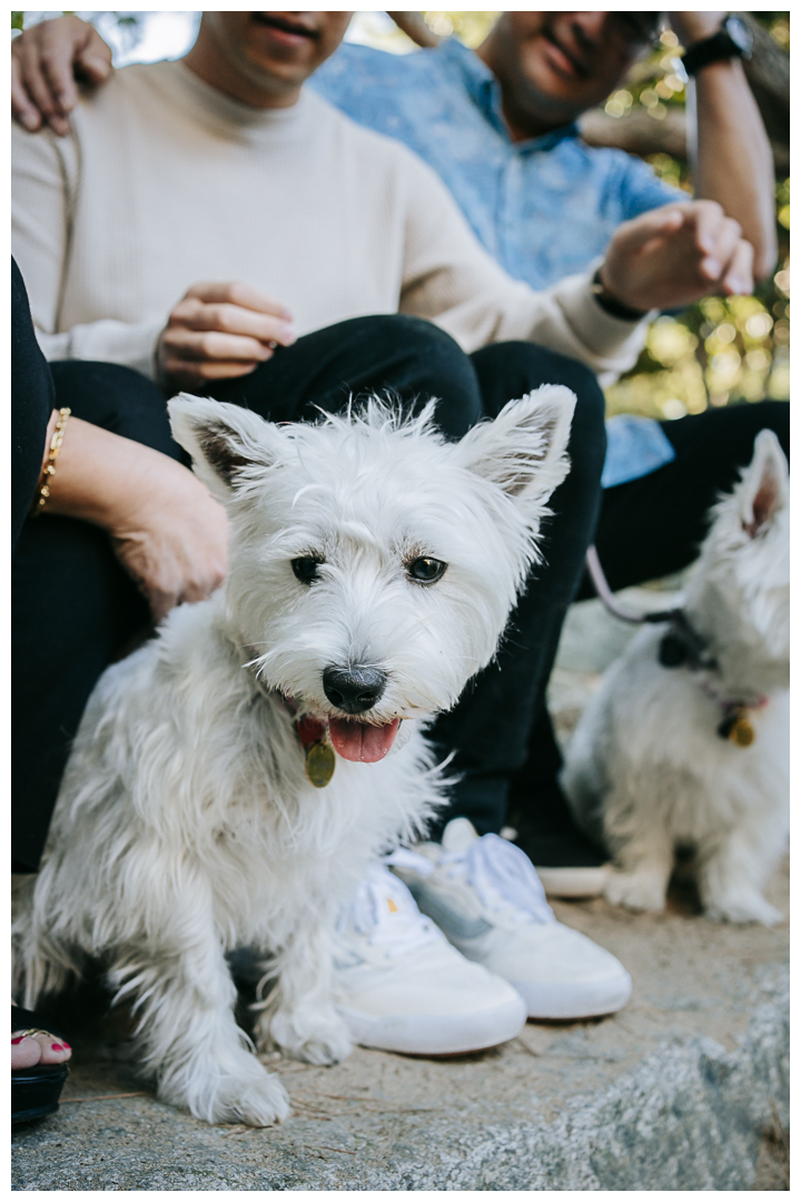 Family Photos at Pine Wind Garden in Torrance, Los Angeles, California