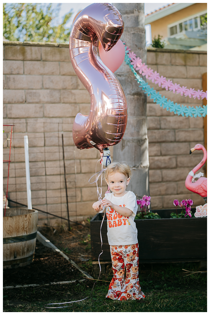 2nd Birthday Party at home in Torrance, Los Angeles, California