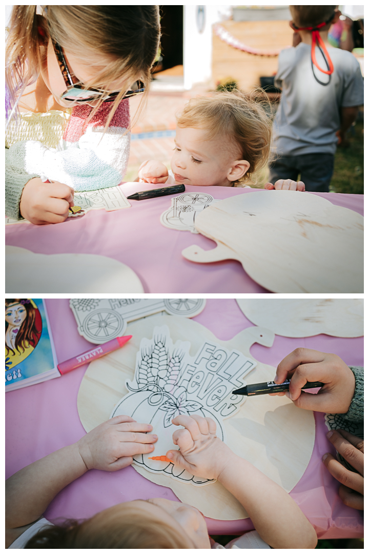 2nd Birthday Party at home in Torrance, Los Angeles, California