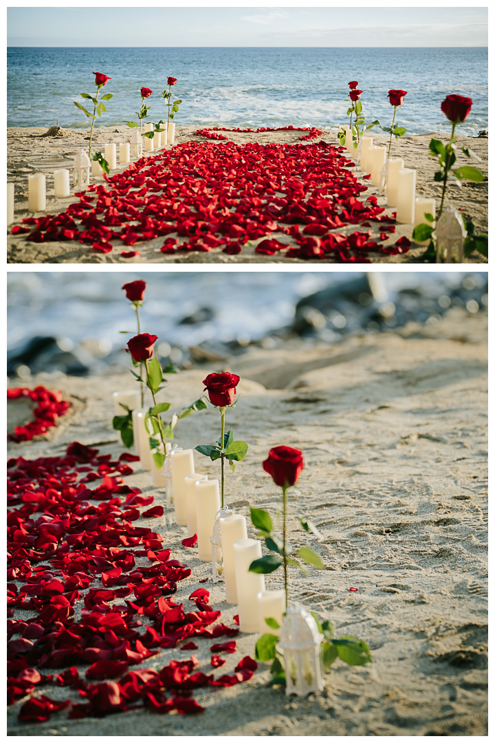 Surprise Proposal and Engagement session at Terranea Beach in Palos Verdes, Los Angeles, California