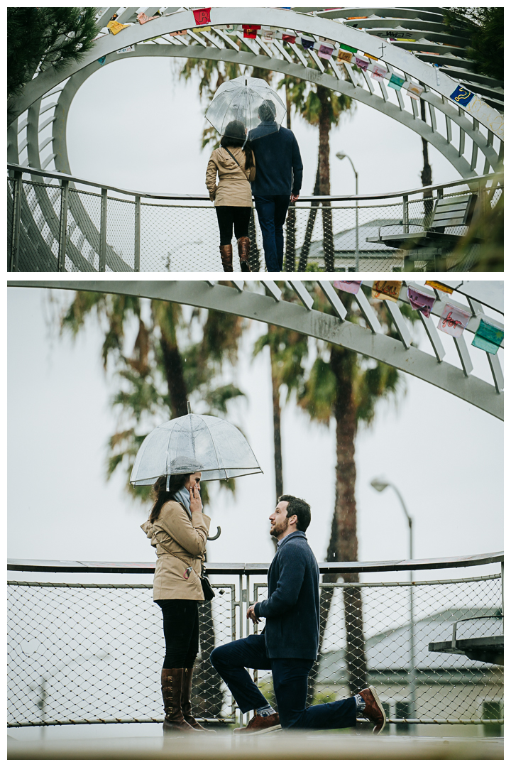 Surprise Proposal and Engagement session at Tongva Park in Santa Monica, Los Angeles, California