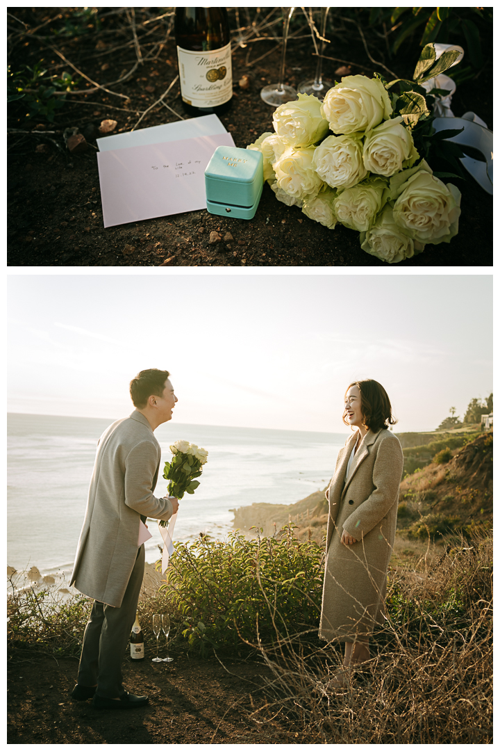 Proposal and Engagement at El Matador Beach in Malibu, Los Angeles, California