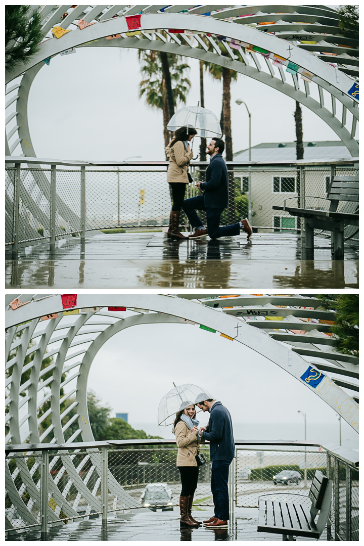 Surprise Proposal and Engagement session at Tongva Park in Santa Monica, Los Angeles, California