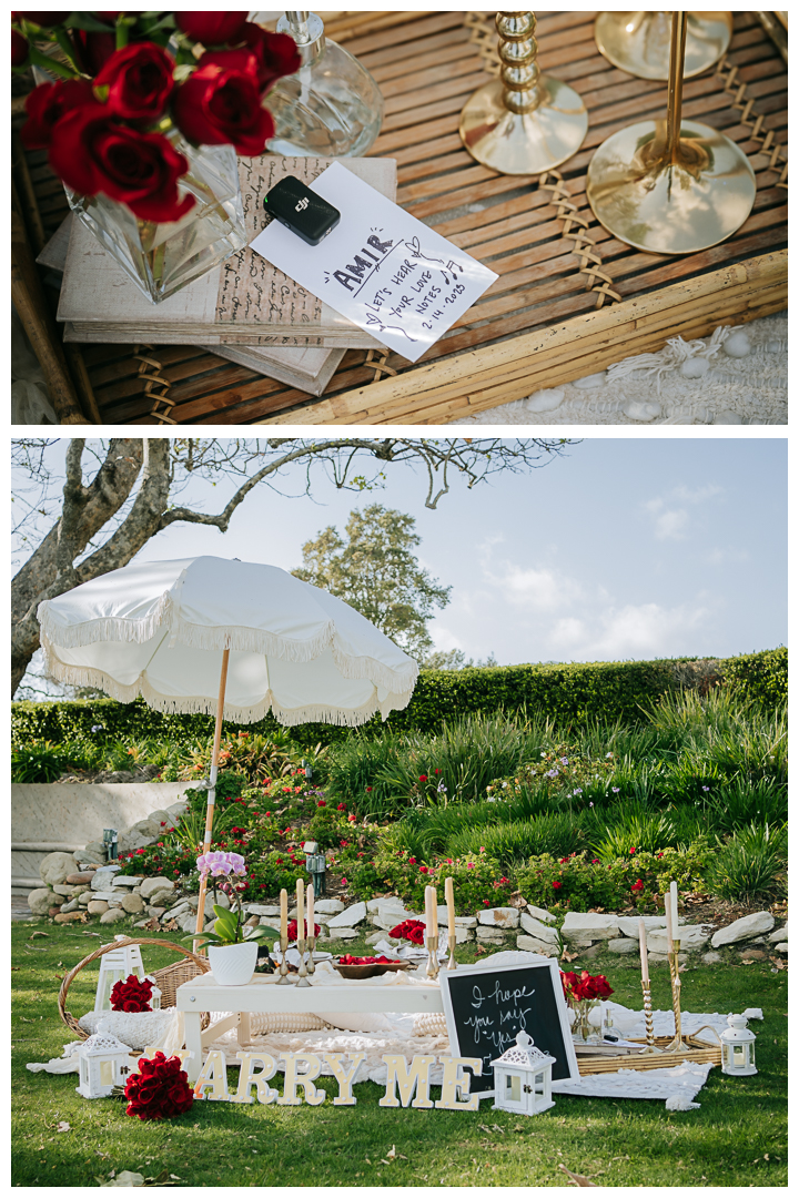 Surprise Proposal & Mini Engagement session in Malibu, Los Angeles, California