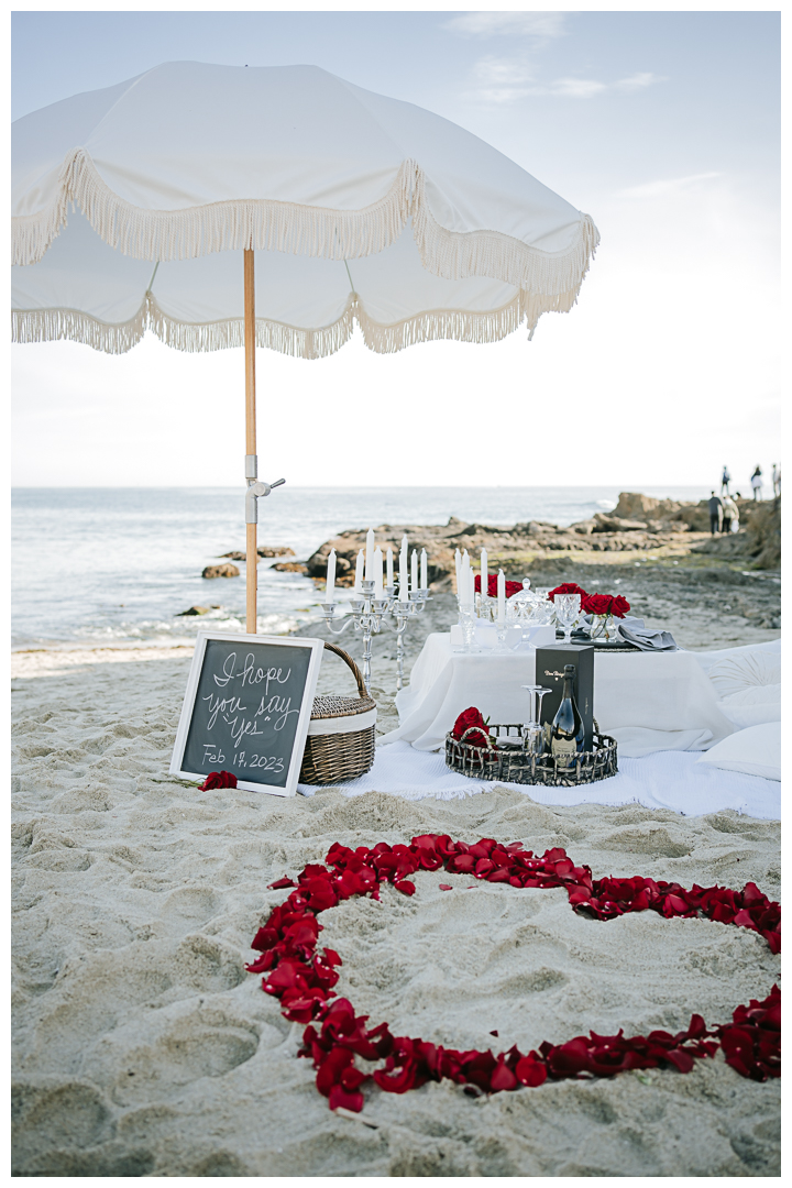 Surprise Proposal & Mini Engagement session in Laguna Beach, Los Angeles, California