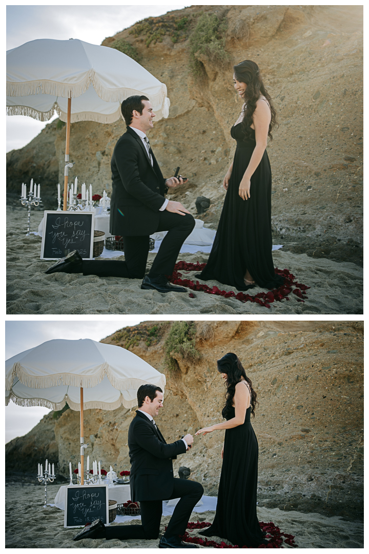 Surprise Proposal & Mini Engagement session in Laguna Beach, Los Angeles, California