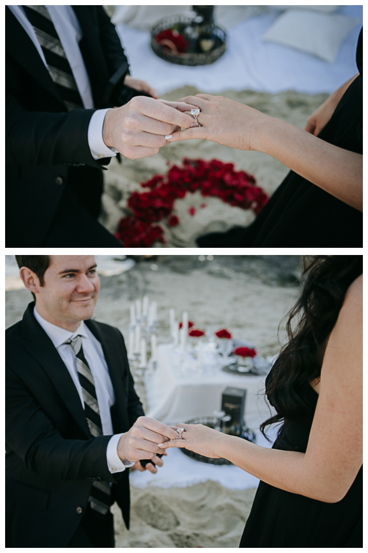 Surprise Proposal & Mini Engagement session in Laguna Beach, Los Angeles, California